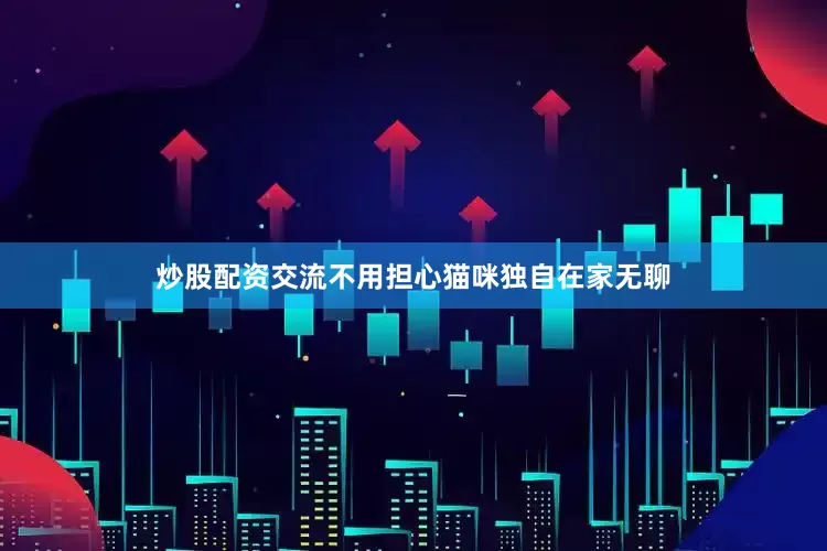 炒股配资交流不用担心猫咪独自在家无聊