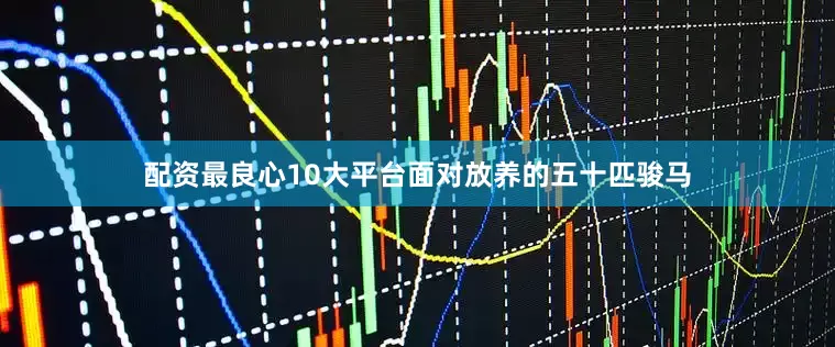 配资最良心10大平台面对放养的五十匹骏马