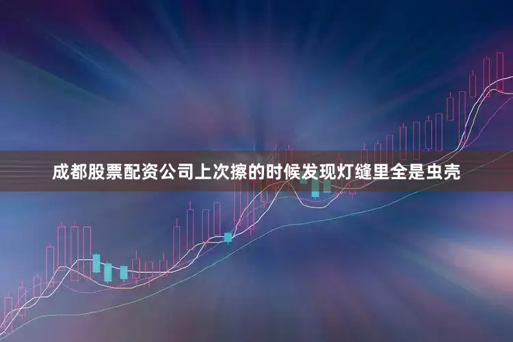 成都股票配资公司上次擦的时候发现灯缝里全是虫壳