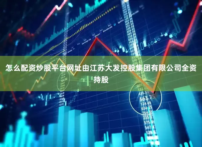 怎么配资炒股平台网址由江苏大发控股集团有限公司全资持股