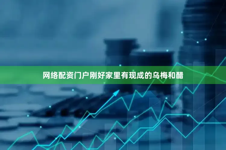 网络配资门户刚好家里有现成的乌梅和醋