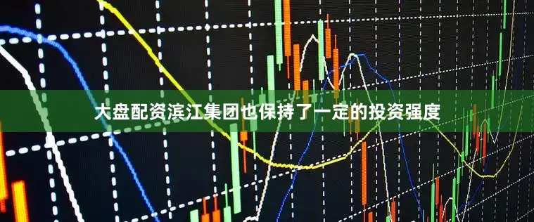 大盘配资滨江集团也保持了一定的投资强度